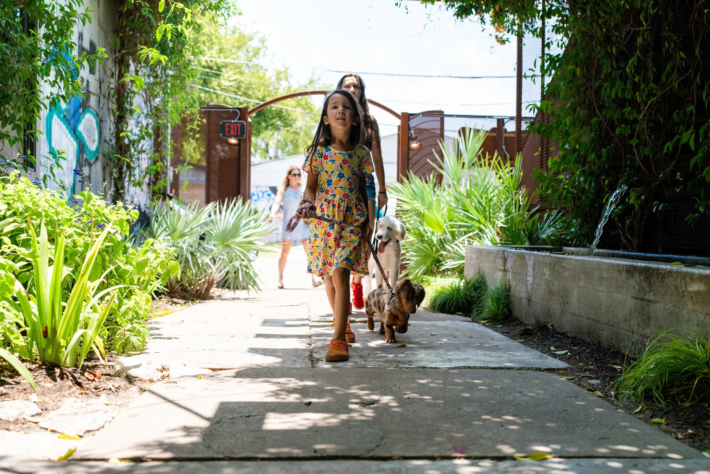 A family practicing calm behavior with their dogs in public